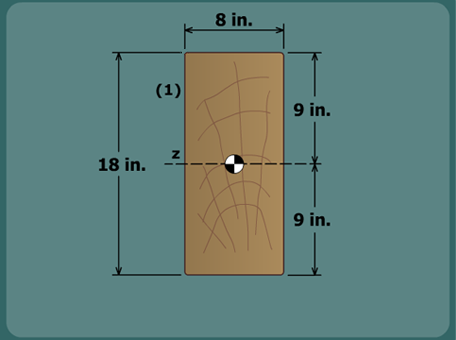 Timber beam reinforced with CFRP