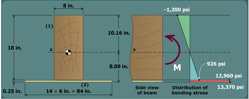 Timber beam reinforced with CFRP